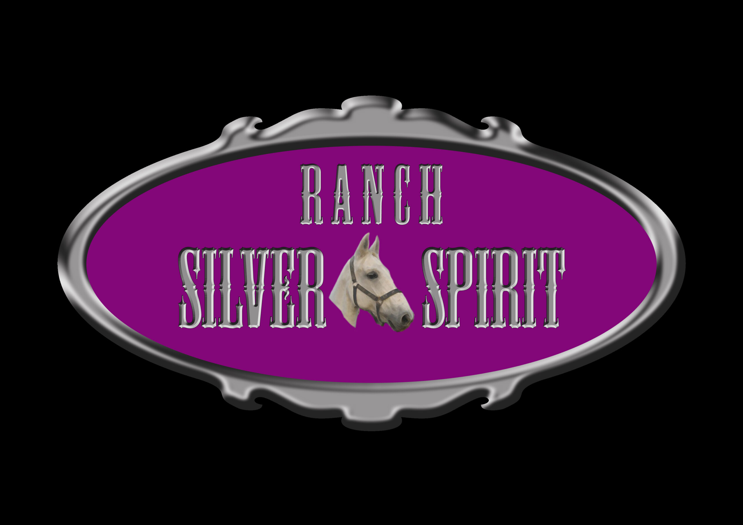 RANCH SILVER SPIRIT 1 copy